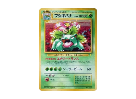 PSA10 Venusaur: Old Back/PROMO[PMCG-P No.003](PMCG-P Promotional cards)