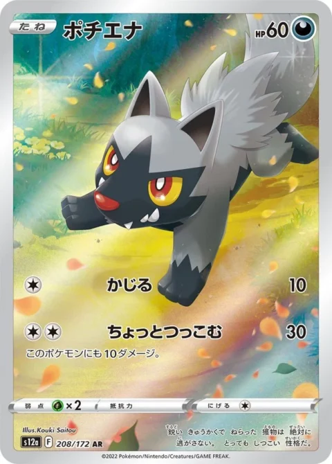 PSA10 Poochyena 208/172 AR