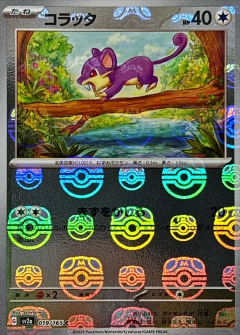 PSA10 Rattata C: Master Ball Mirror[SV2a 019/165](Enhanced Expansion Pack “Pokemon Card 151”)